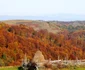 toamna in tinutul padurenilor fotografii claudiu nelega