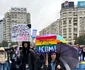 Protest „Parteneriat Civil ACUM”, în Piața Victoriei (2) jpeg