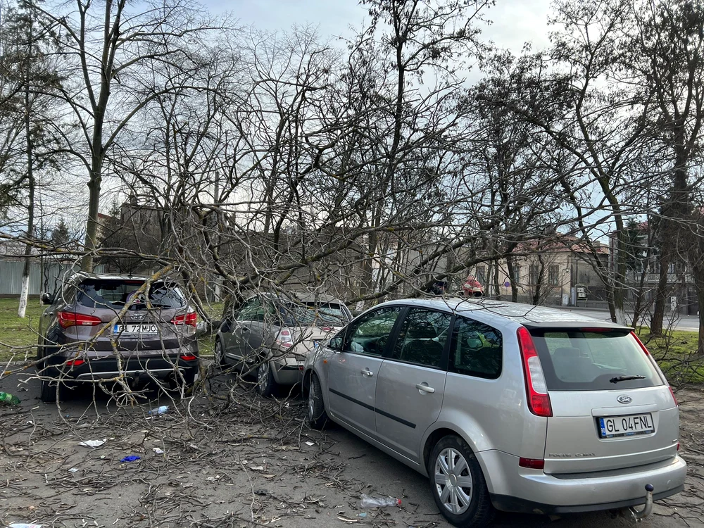 Mașini avariate de copaci căzuți FOTO: ISU Galați