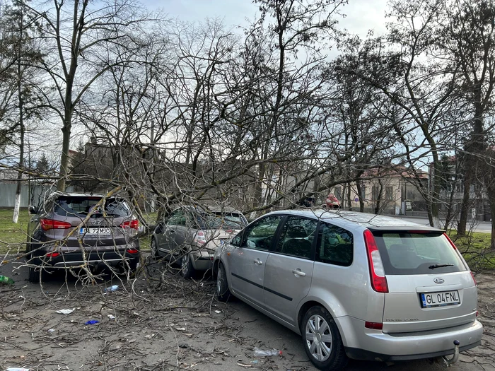 Mașini avariate de copaci căzuți FOTO: ISU Galați