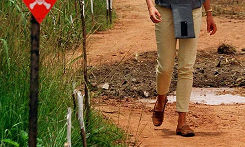 princess diana landmines outfit z jpeg