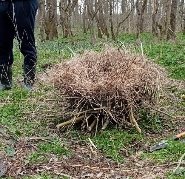 Cuiburi artificiale pentru păsări, în cea mai mare arie protejată din vestul României FOTO 