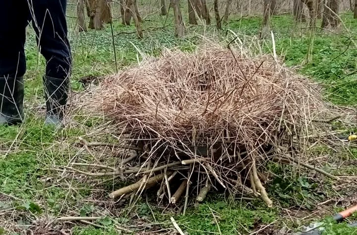 Este vorba despre cuiburi artificiale FOTO Lunca Mureșului