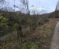 Satul Teliucu Inferior din Hunedoara Foto Daniel Guță ADEVĂRUL (1) jpg