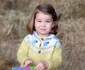 princess charlotte second birthday a jpeg
