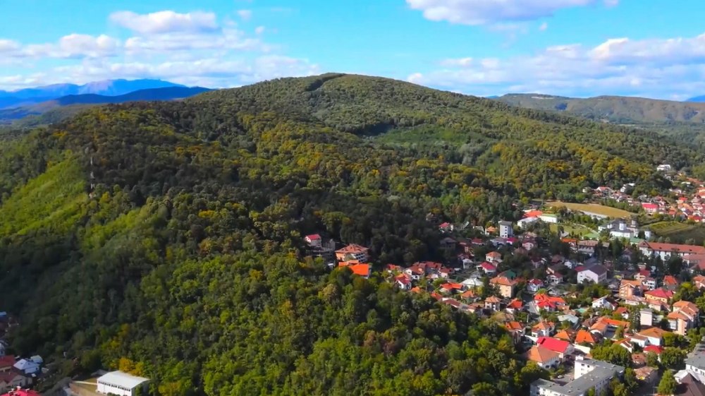 Urs în Râmnicu Vâlcea. Prezența animalului a fost semnalată în apropierea zonei centrale