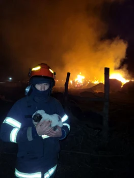 incendiu