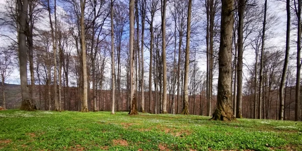 sarmizegetusa regia foto daniel guta adevarul