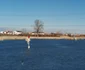 Lacul de lângă Timişoara a devenit patinoar natural FOTO Ş.Both