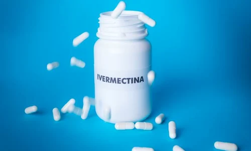 1 shutterstock 1770101723 jpg jpeg