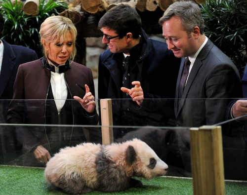 Brigitte Macron At A Ceremony For Baby Panda Born Beauval Zoo jpeg
