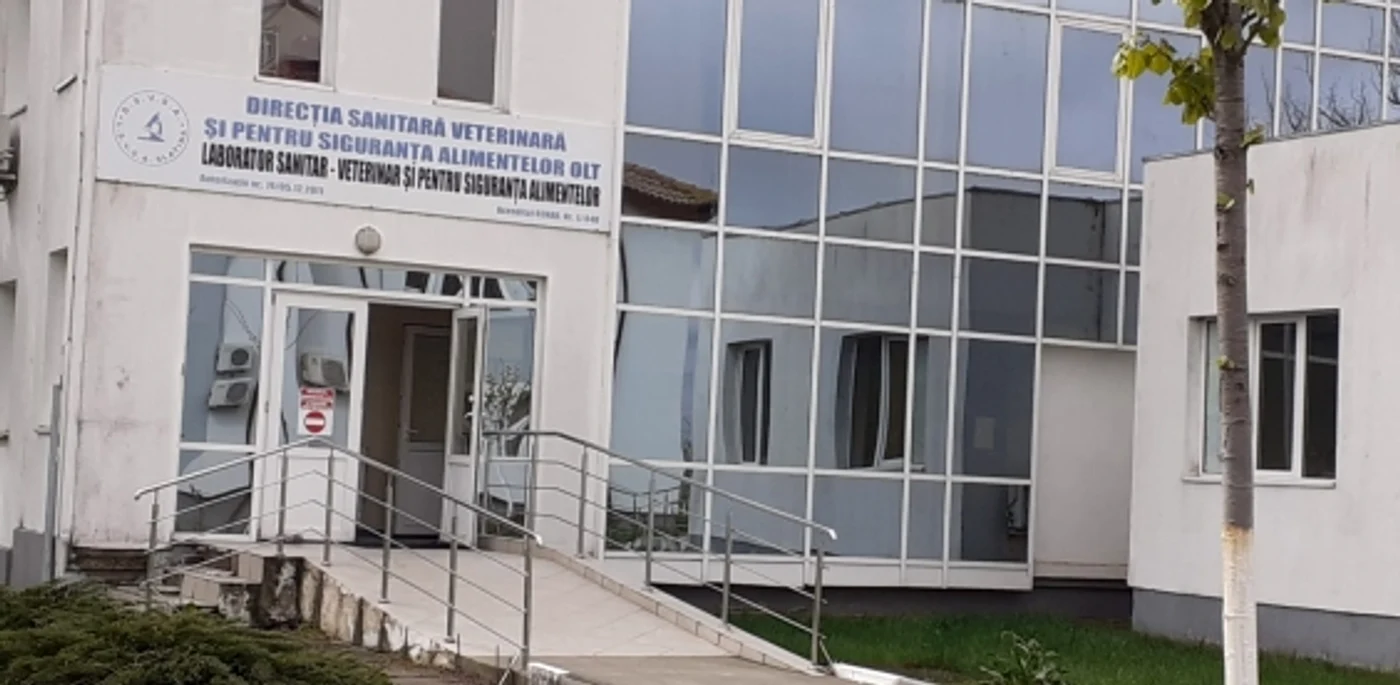Primele teste vor fi prelucrate în laboratorul DSVSA Olt, cel mai probabil spre sfârşitul acestei săptămâni FOTO: Adevărul