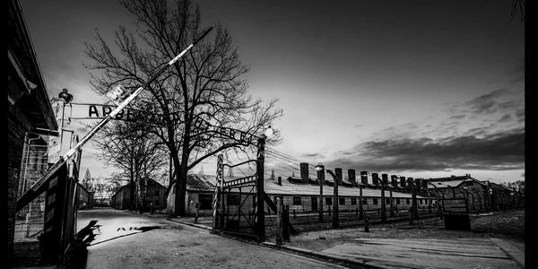 Auschwitz Birkenau 1 jpg