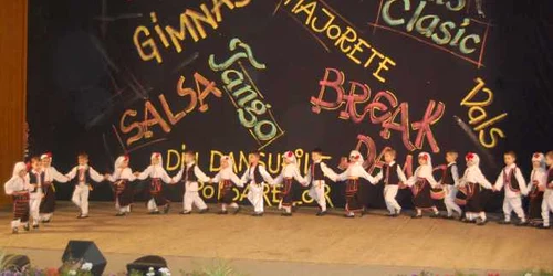 ritmurile tineretii vaslui