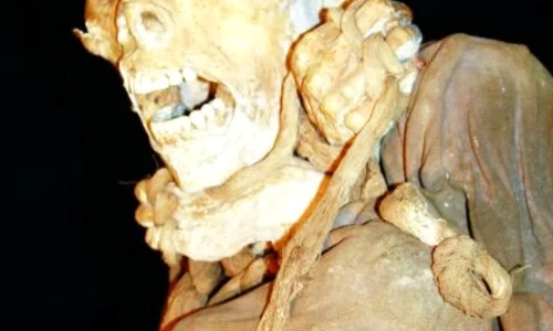 La Joya şi războinicii ceţurilor jpeg