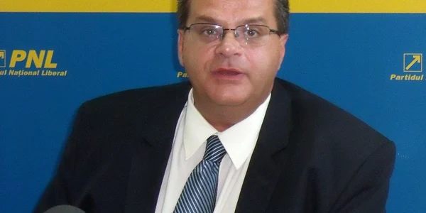 Deputatul Nini Săpunaru