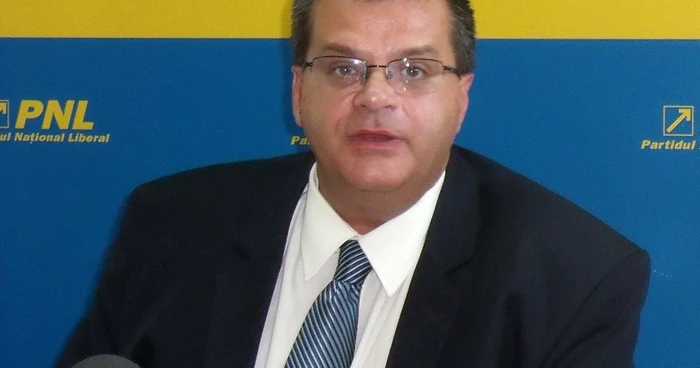 Deputatul Nini Săpunaru