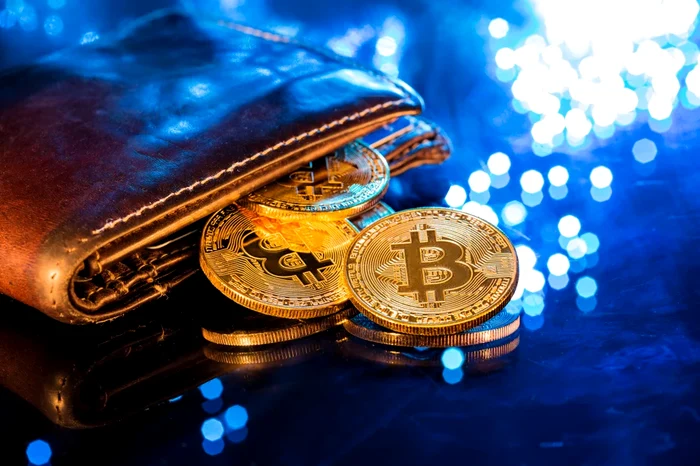 Criptomonede FOTO: Shutterstock