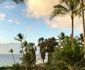 Raluca Lazarut Horatiu Boeriu vacanta Hawaii (18) jpeg