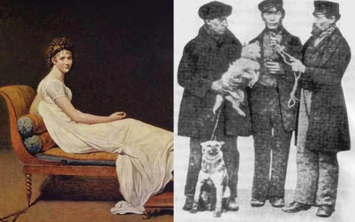 Madame de Recamier şi Friedrich L. Dobermann şi-au donat numele posterităţii