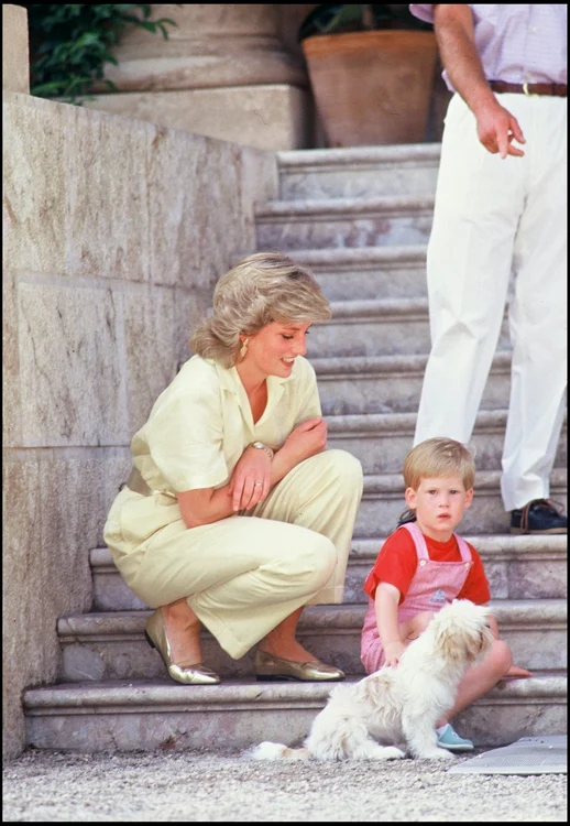 Prințesa Diana cu Harry și Will (7) jpg