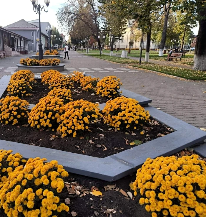 Pietonal Darabani FOTO Primăria Darabani