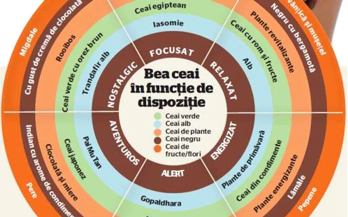 infografie adevarul