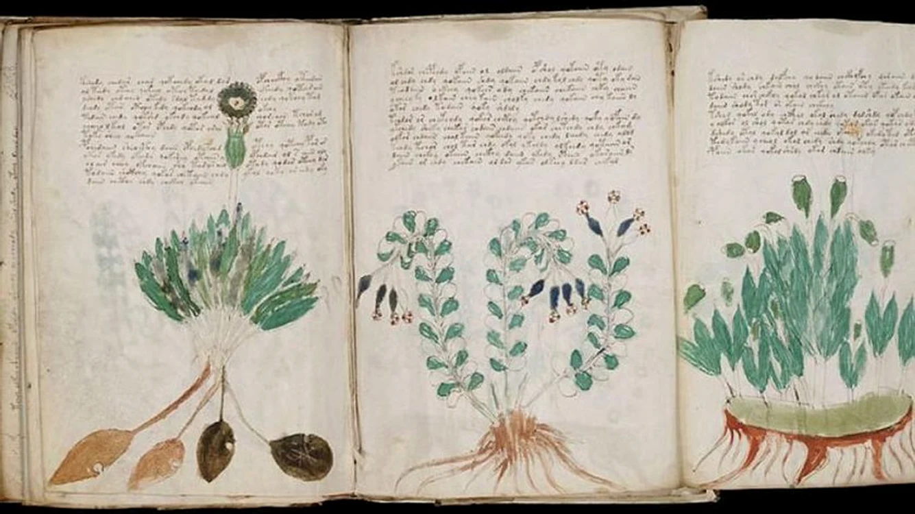 Încă din secolul al XVII-lea au existat încercări de descifrare a manuscrisului Voynichclickpentrufemei.ro