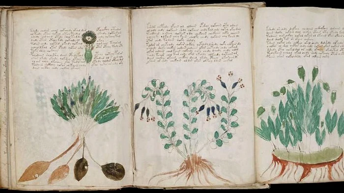 Încă din secolul al XVII-lea au existat încercări de descifrare a manuscrisului Voynichclickpentrufemei.ro