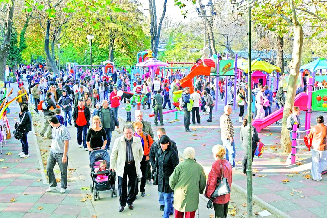 
    Cişmigiu  
