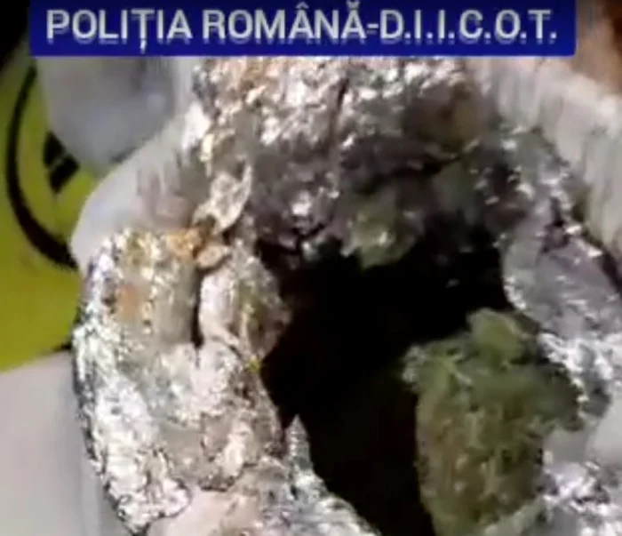 Cannabisul era ascuns într-un borcan                                                              FOTO: Poliţia Romana