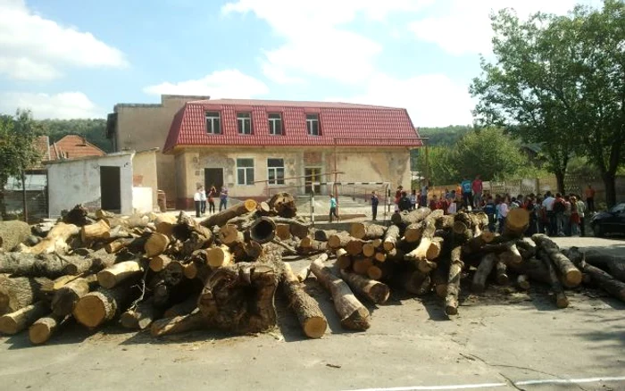 Gramada de lemne unde s-a produs accidentul