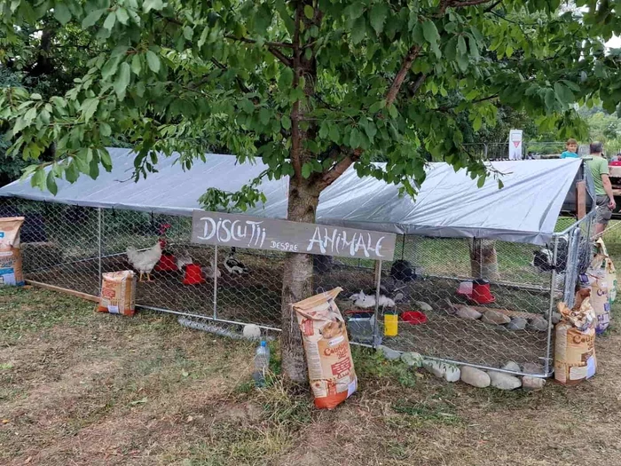 Vor fi discuții aplicate despre activitatea în rural FOTO: www.mutatlatara.ro