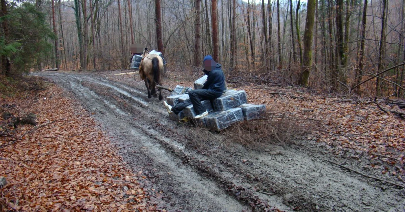 Maramureşenii transportau ţigările cu ajutorul unui cal