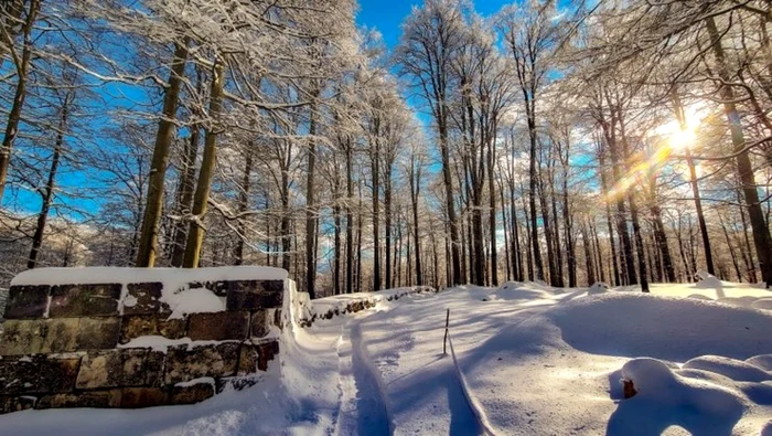 sarmizegetusa regia foto consiliul judetean hunedoara