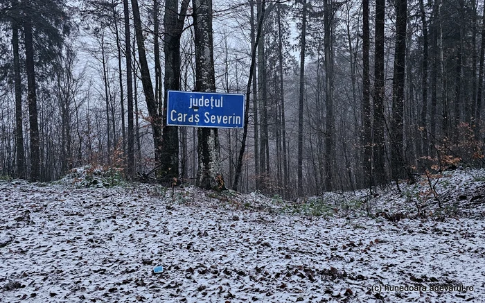 Drumul se oprește în pădure. Foto: Daniel Guță. ADEVĂRUL
