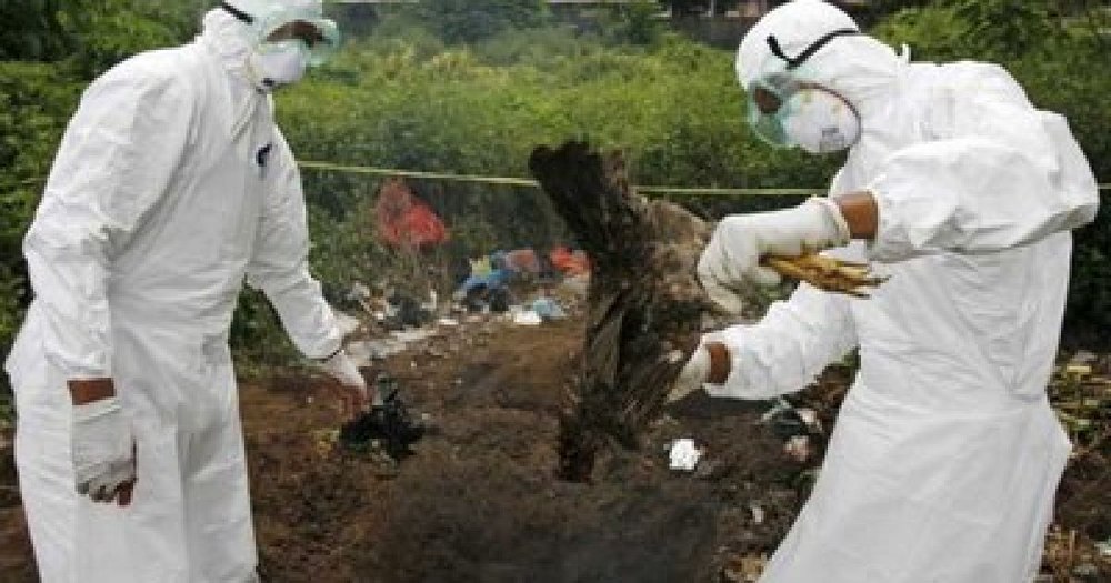Europa ar putea cumpăra vaccinuri contra extinderii gripei aviare la oameni, pentru a evita o pandemie