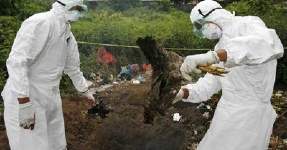 Se profilează o nouă criză: gripa aviară se extinde îngrijorător în Europa