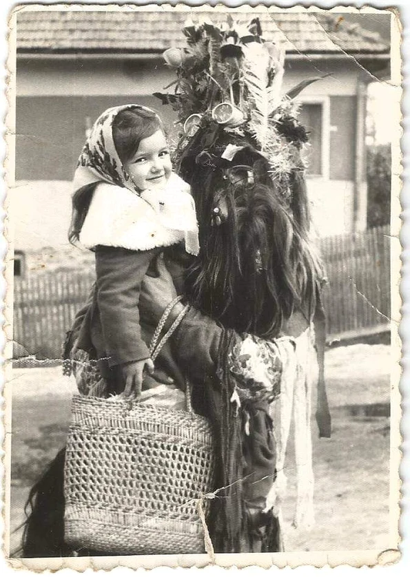 Foto: © Muzeul Național al Carpaților Răsăriteni (MNCR)