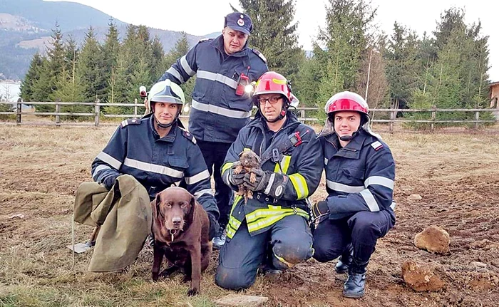 
    Pompierii s-au bucurat ca niște copii că au scos teafăr căţeluşulFoto: ISU Bistriţa  