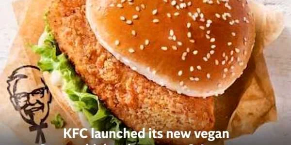 burger kfc