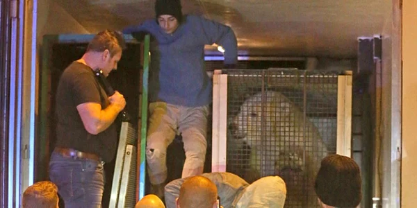 Imigranţii din Calais care au dat nas în nas cu un urs polar FOTO The Telegraph