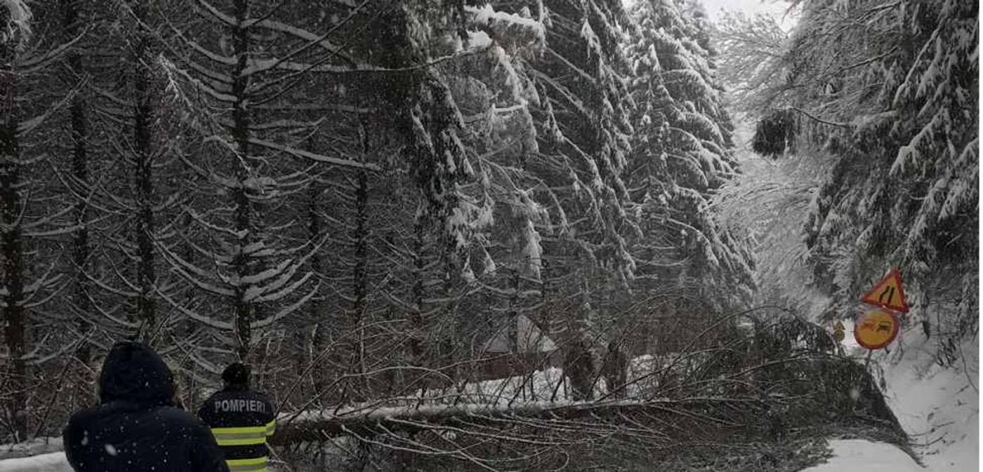 Sute de vâlceni fără curent electric, o şcoală închisă, copaci pe drumuri, alunecări de teren în Vâlcea, Foto: IPJ Vâlcea