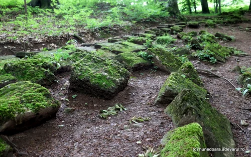 cetatea dacica piatra rosie foto daniel guta adevarul