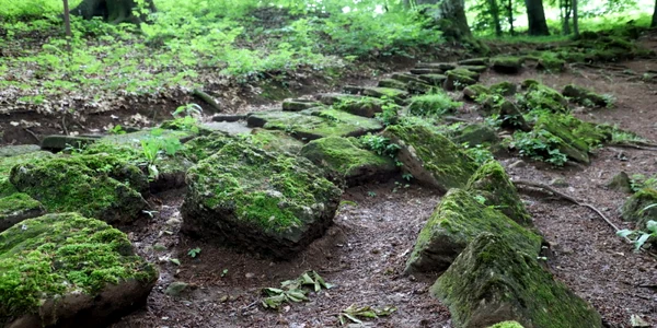 cetatea dacica piatra rosie foto daniel guta adevarul