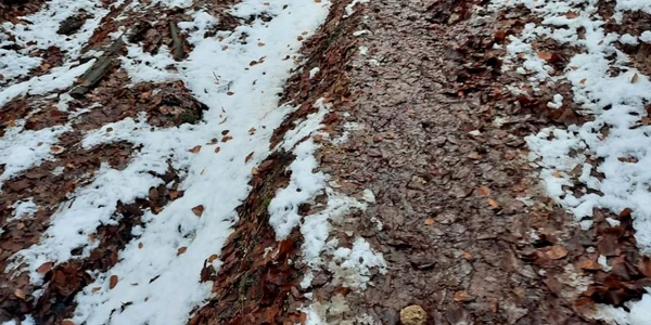 Cele mai frecvente greşeli pe munte FOTO Primăria Braşov