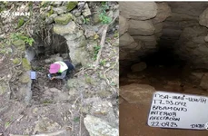 El Jefeciño, un nou sit arheologic mayaș (© INAH)