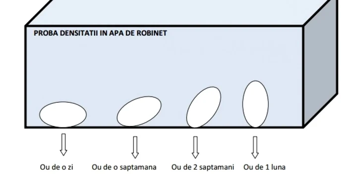 oua densitate