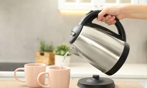 shutterstock 2441120441 jpg