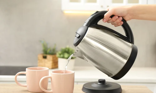 shutterstock 2441120441 jpg